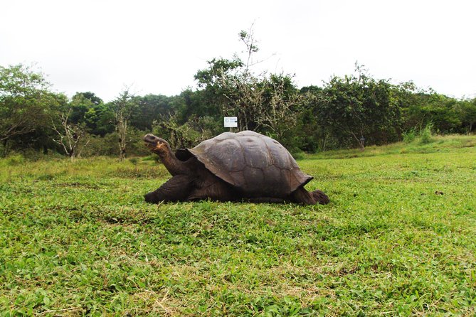 4-Day Galapagos Islands Express Tour - Wildlife Encounters