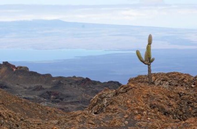 4-Day Galapagos Land Tour Visiting Isabela and Santa Cruz - Key Points