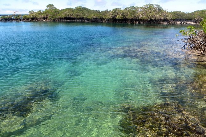 4-Day Galapagos Land Tour Visiting Isabela and Santa Cruz - Inclusions