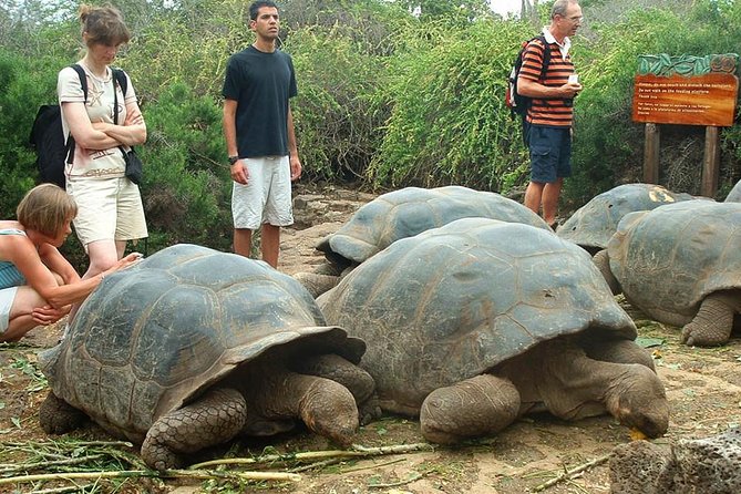 4-Day Galapagos Land Tour Visiting Isabela and Santa Cruz - Visiting Isabela Island