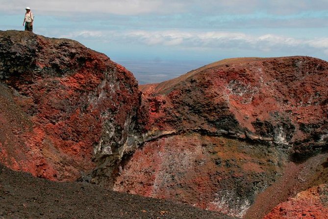 4-Day Galapagos Land Tour Visiting Isabela and Santa Cruz - Traveler Experiences