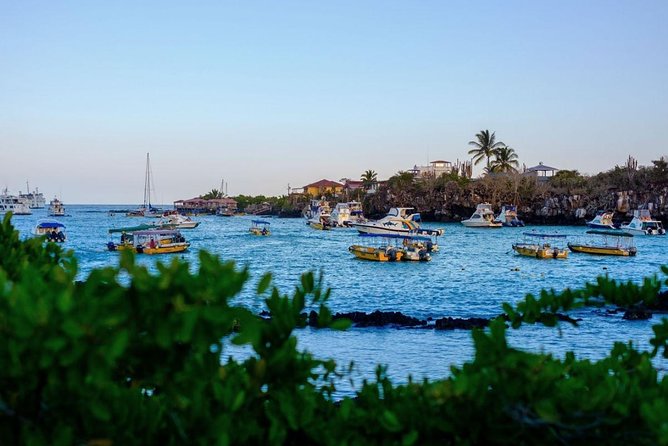 4-day Galapagos on a Budget Experience - Itinerary Details