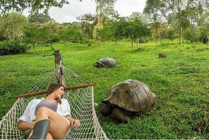 4-day Galapagos on a Budget Experience - Exploring Isabela Island