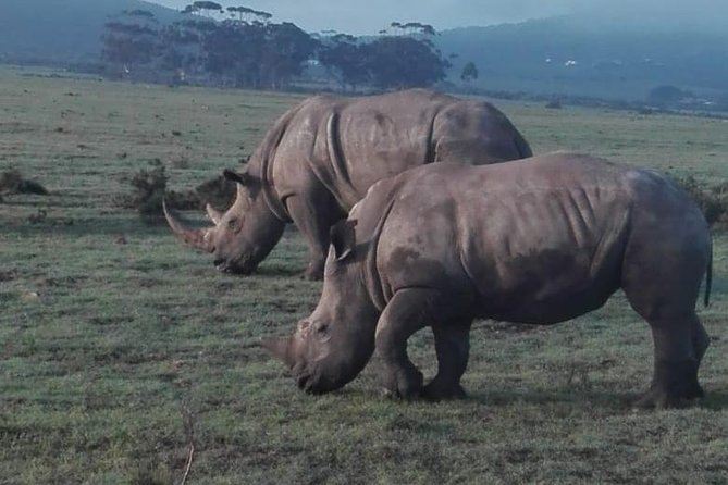 4 Day Garden Route Adventure & Safari - Accommodation