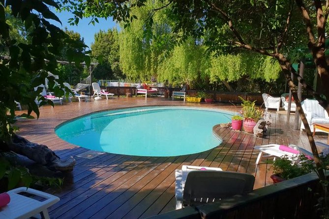 4 Day Garden Route Adventure & Safari - Wildlife Encounters