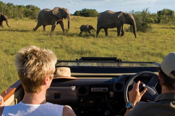4 Day Garden Route Luxe Selection Micro Group Tour From Cape Town - Key Points
