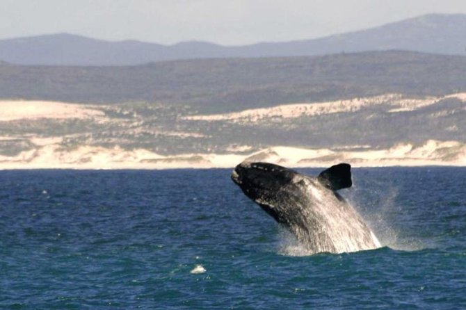 4 Day Garden Route Luxe Selection Micro Group Tour From Cape Town - Booking Information