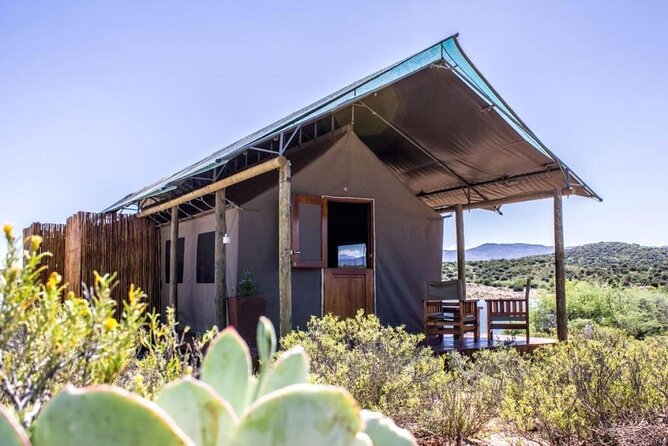 4 Day Garden Route Luxe Selection Micro Group Tour From Cape Town - Pricing Details