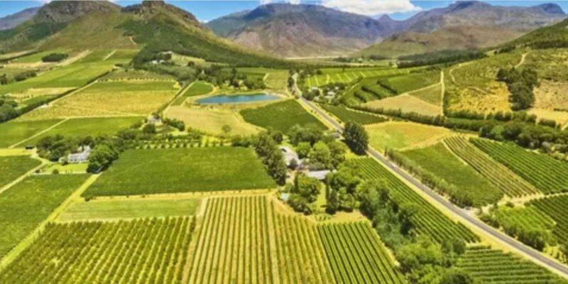 4 Day Garden Route Private Safari From Cape Town - Wine and Culinary Experiences