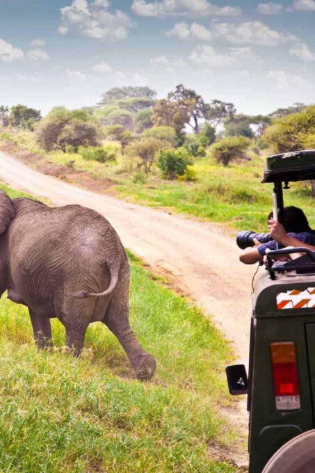 4 Day Garden Route Safari From Cape Town - Pickup and Accessibility