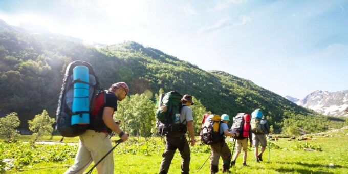 4 Day Garden Route Safari From Cape Town - Tour Guide and Languages