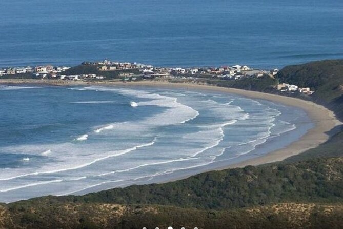 4 Day Garden Route Small Group Tour Fr CapeTown - Departs Mondays - Tour Reviews