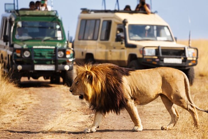 4 Day Garden Route Small Group Tour Fr CapeTown - Departs Mondays - Tour Price and Duration
