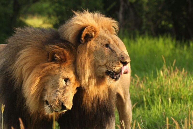 4 Day Garden Route Tour From Cape Town + Addo National Park - Knysna Heads and Quays