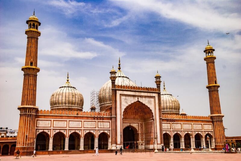 4 Day Golden Triangle & Ranthambore Safari From Delhi - Inclusions and Accommodations