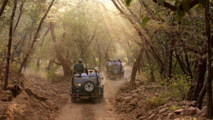 4-Day Golden Triangle & Ranthambore Tiger Safari From Delhi - Frequently Asked Questions