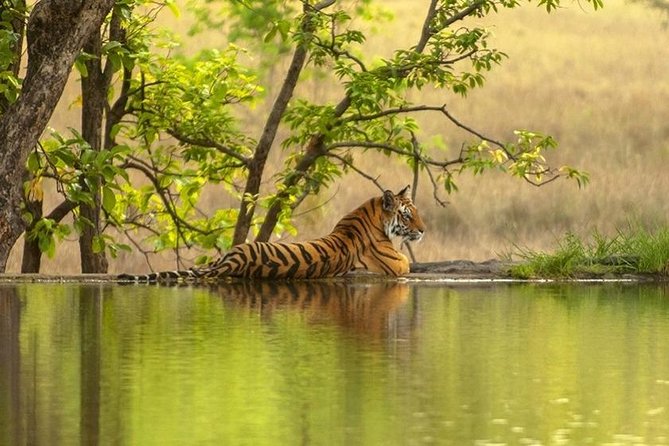 4 Day Golden Triangle Tour With Ranthambore Tiger Safari India - Sunrise at the Taj Mahal