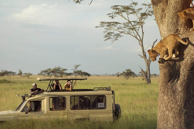 4 Day Great Migration Safari Serengeti & Ngorongoro Crater - Meeting and Pickup Details