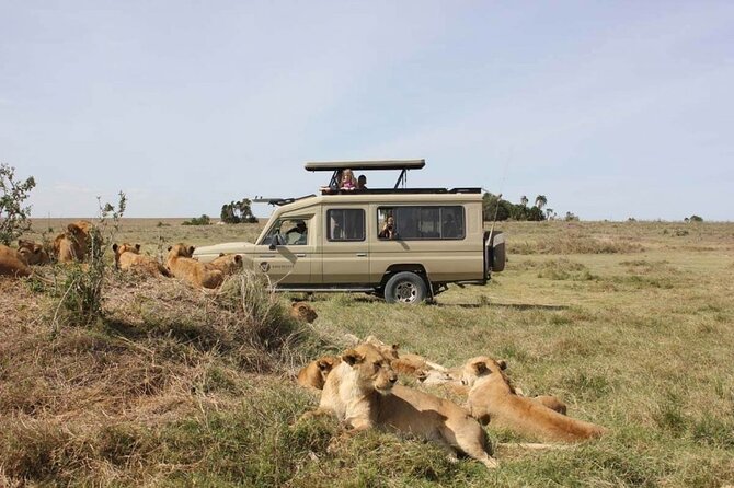 4 Day Great Migration Safari Serengeti & Ngorongoro Crater - Confirmation and Accessibility