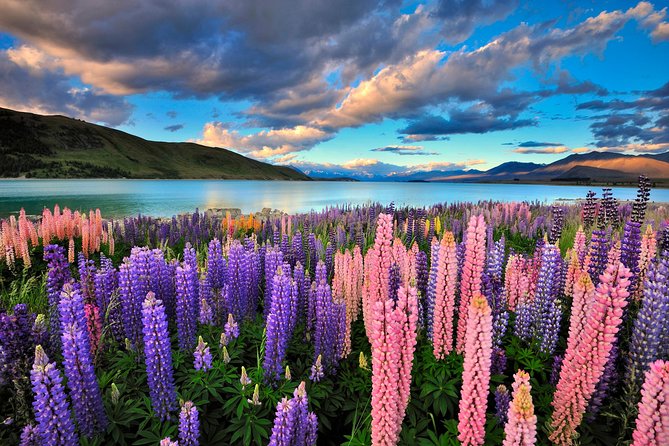 4-Day Great Southern Island Circle Tour From Christchurch - Itinerary Breakdown