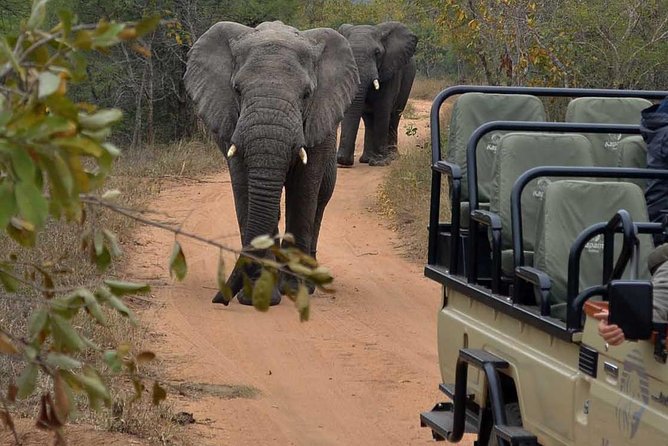 4 Day Greater Kruger Kapama Game Lodge Safari With Panorama Route Journey - Meeting and Pickup Information
