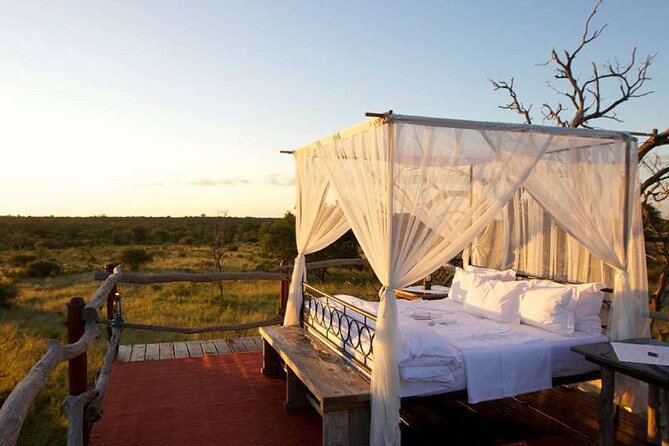 4 Day Greater Kruger Kapama Game Lodge Safari With Panorama Route Journey - Child Policy and Participation