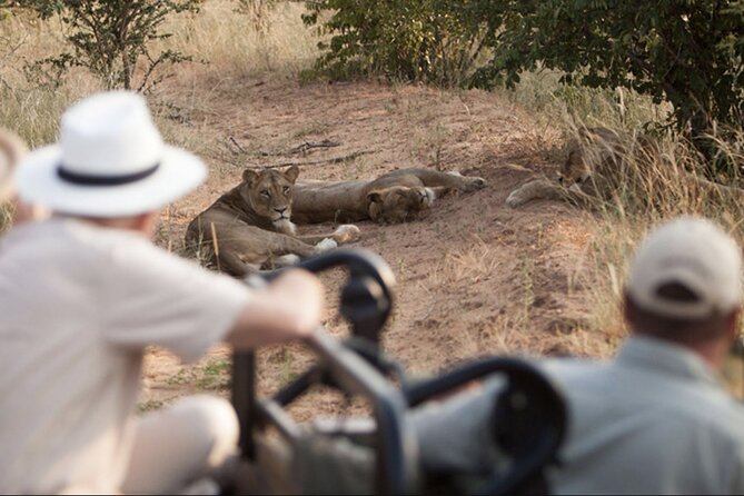 4 Day Greater Kruger Kapama Game Lodge Safari With Panorama Route Journey - Optional Experiences and Upgrades