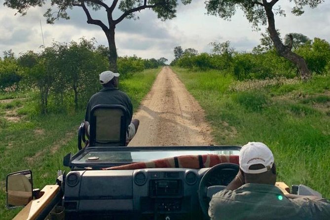 4 Day Greater Kruger National Park Adventure Safari - Park and Wildlife