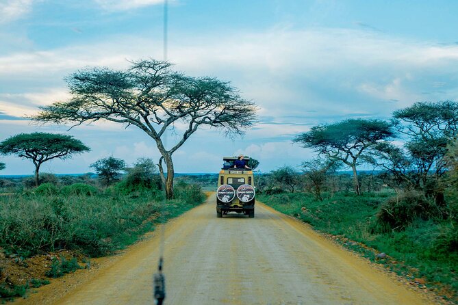 4-Day Group Joining Safari in Tanzania | Shared Safari - Itinerary and Schedule