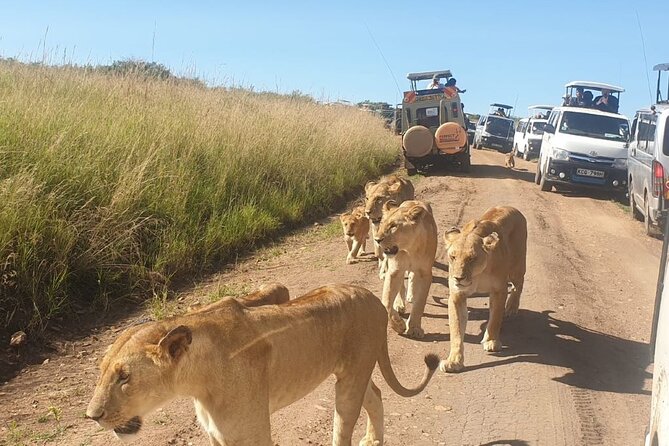4 Day Group Tour to Maasai Mara and Lake Nakuru by a 4WD Cruiser - Tour Suitability and Requirements