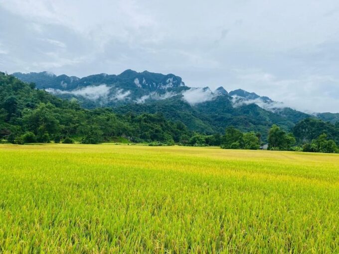 4-Day Ha Giang Loop: Nature, Culture, Adventure - Frequently Asked Questions