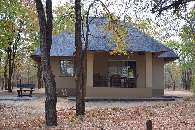 4-Day Hluhluwe Imfolozi and St Lucia Safari From Durban - Tour Details