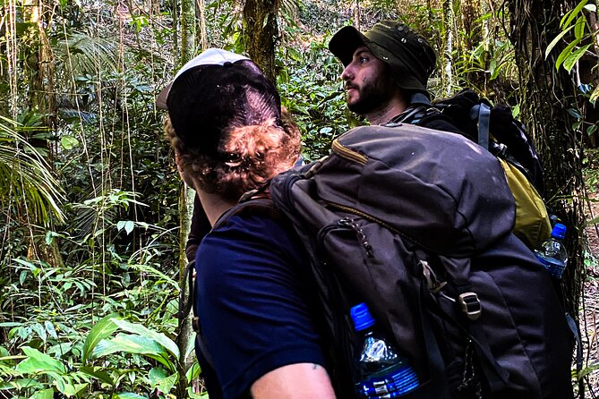 4-Day Juatinga Crossing Tour - Tour Highlights and Experience