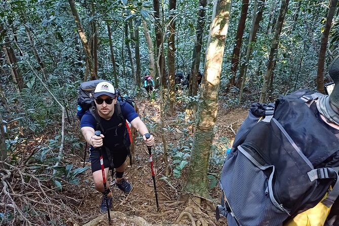 4-Day Juatinga Crossing Tour - Traveler Recommendations