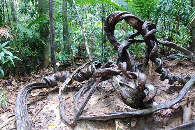 4-Day Jungle Experience in Taman Negara From Kuala Lumpur - Packing Recommendations
