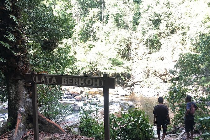 4-Day Jungle Experience in Taman Negara From Kuala Lumpur - Ratings and Feedback