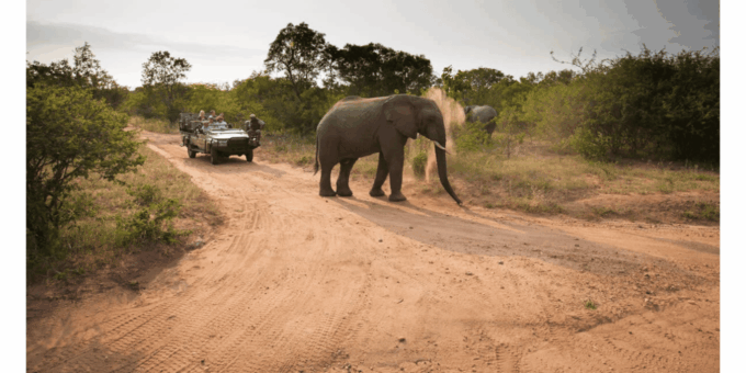 4 Day Kapama Safari From Johannesburg - Frequently Asked Questions
