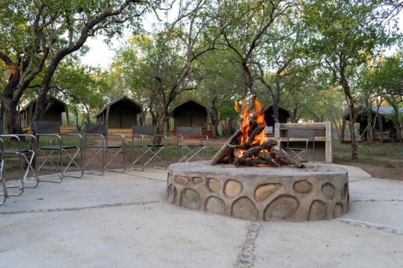 4 Day Kruger Glamping Budget Adventure - Key Points