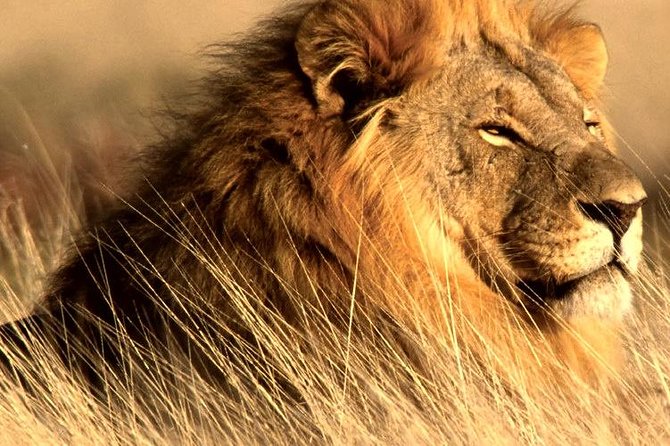 4 Day Kruger National Park and Panorama Route Safari - Scenic Panorama Route