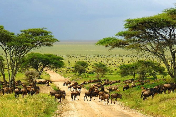 4 Day Kruger National Park and Panorama Route Safari - Comfortable Accommodations
