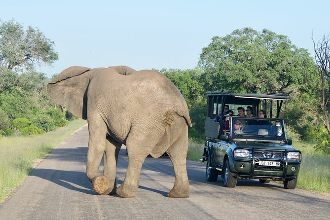 4-Day Kruger National Park Safari Including Breakfast and Dinner - Climate and Packing Suggestions