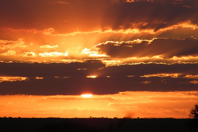 4 Day Kruger National Park Tour - Transportation and Accommodation