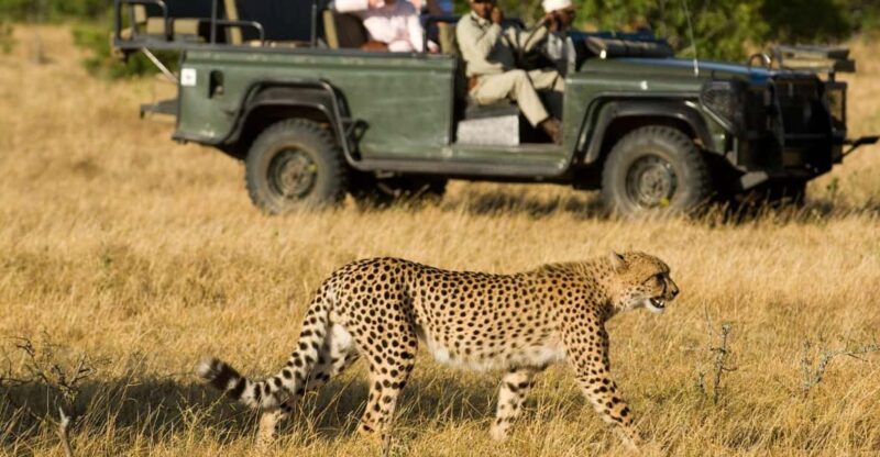 4 Day Kruger National Pk & Blyde River Canyon F Johannesburg - Key Points