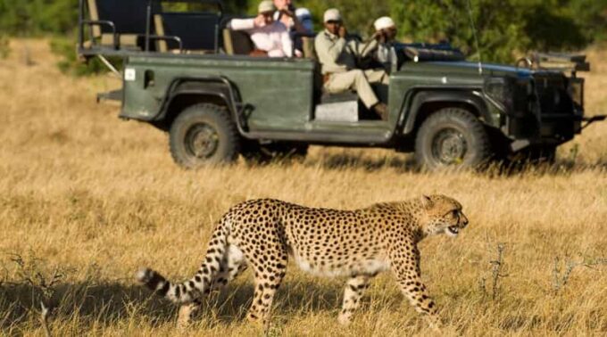 4 Day Kruger National Pk & Blyde River Canyon F Johannesburg - Languages and Accessibility