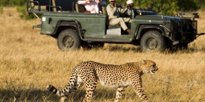 4 Day Kruger National Pk & Blyde River Canyon F Johannesburg - Private Group Option