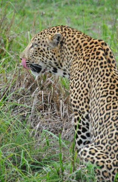 4 Day Kruger Park and Panorama Route Tour - Key Points
