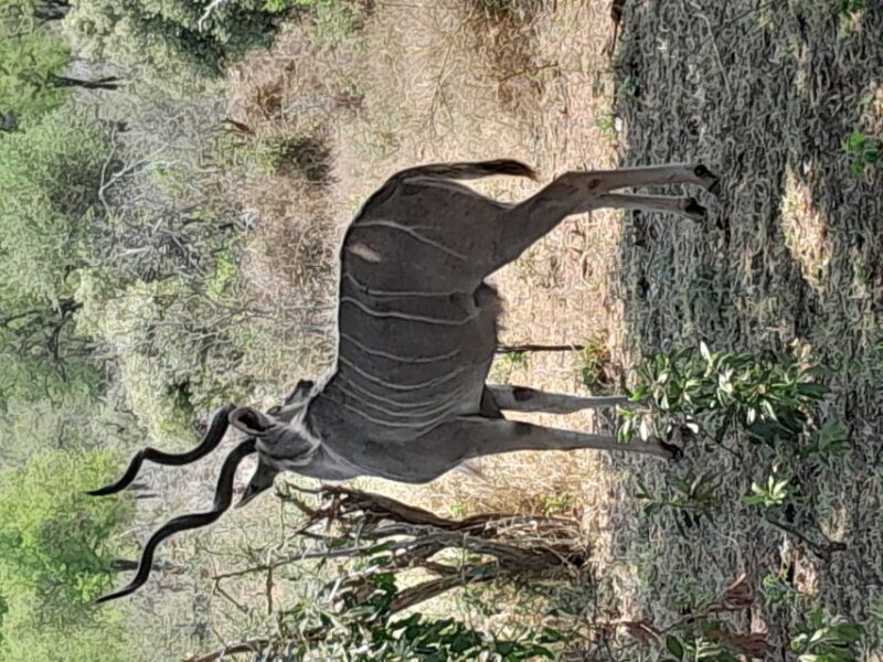 4 Day Kruger Park Safari and Panorama Route - Johannesburg to Kruger
