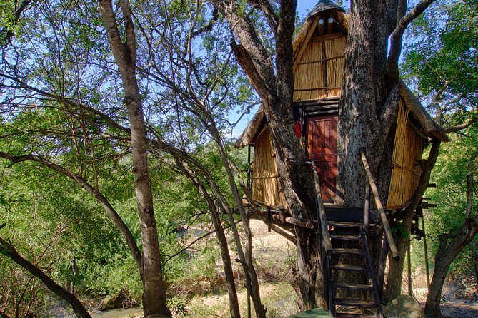 4 Day Lodge and Treehouse Kruger National Park Safari - Sunset Game Drive Adventure