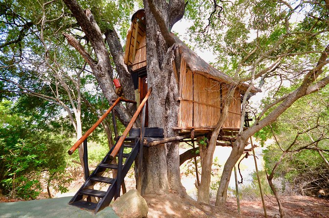 4 Day Lodge and Treehouse Kruger National Park Safari - Full-Day Open-Top Safari