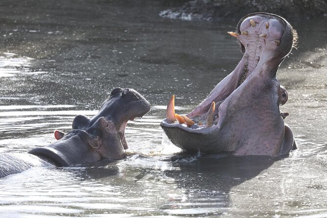 4-Day Lodge Private Tour to Tarangire, Serengeti and Ngorongoro - Inclusions and Exclusions